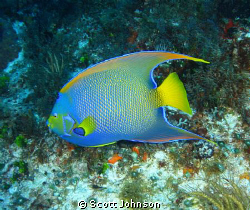 Angel in Cozumal by Scott Johnson 
